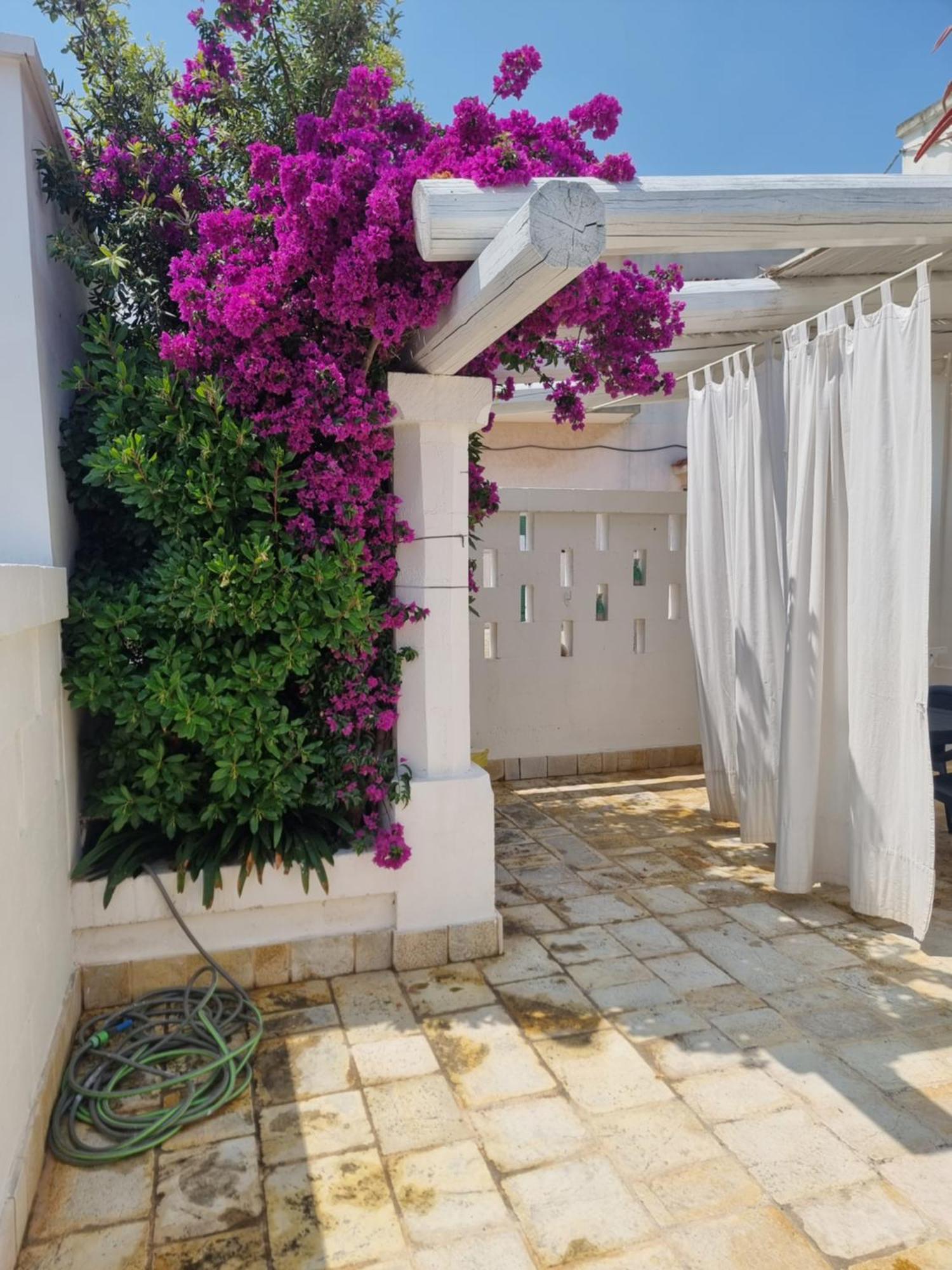 Ferienwohnung Villini Di Sant'Andreas Monopoli Exterior foto